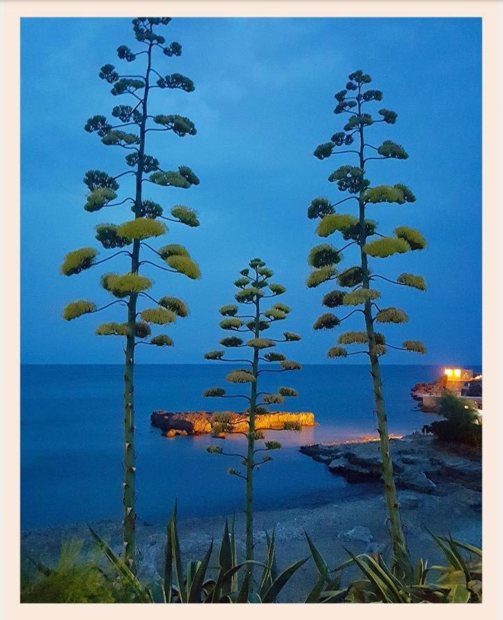 Villa La Rucchetta อาลเกโร ภายนอก รูปภาพ