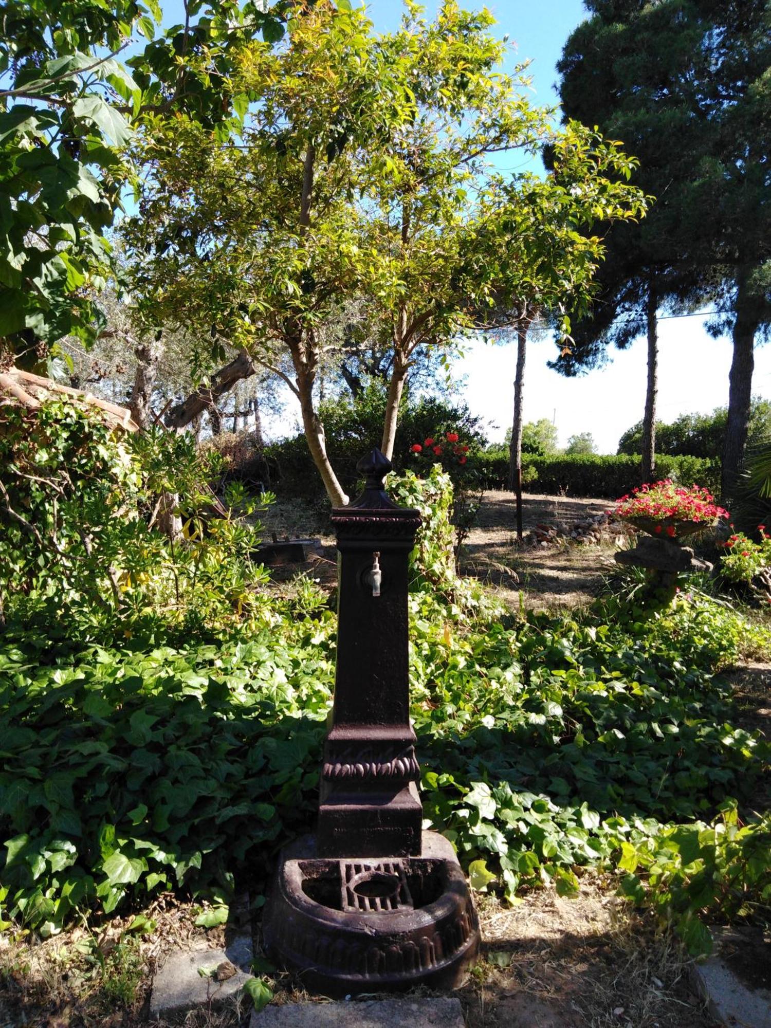 Villa La Rucchetta อาลเกโร ภายนอก รูปภาพ