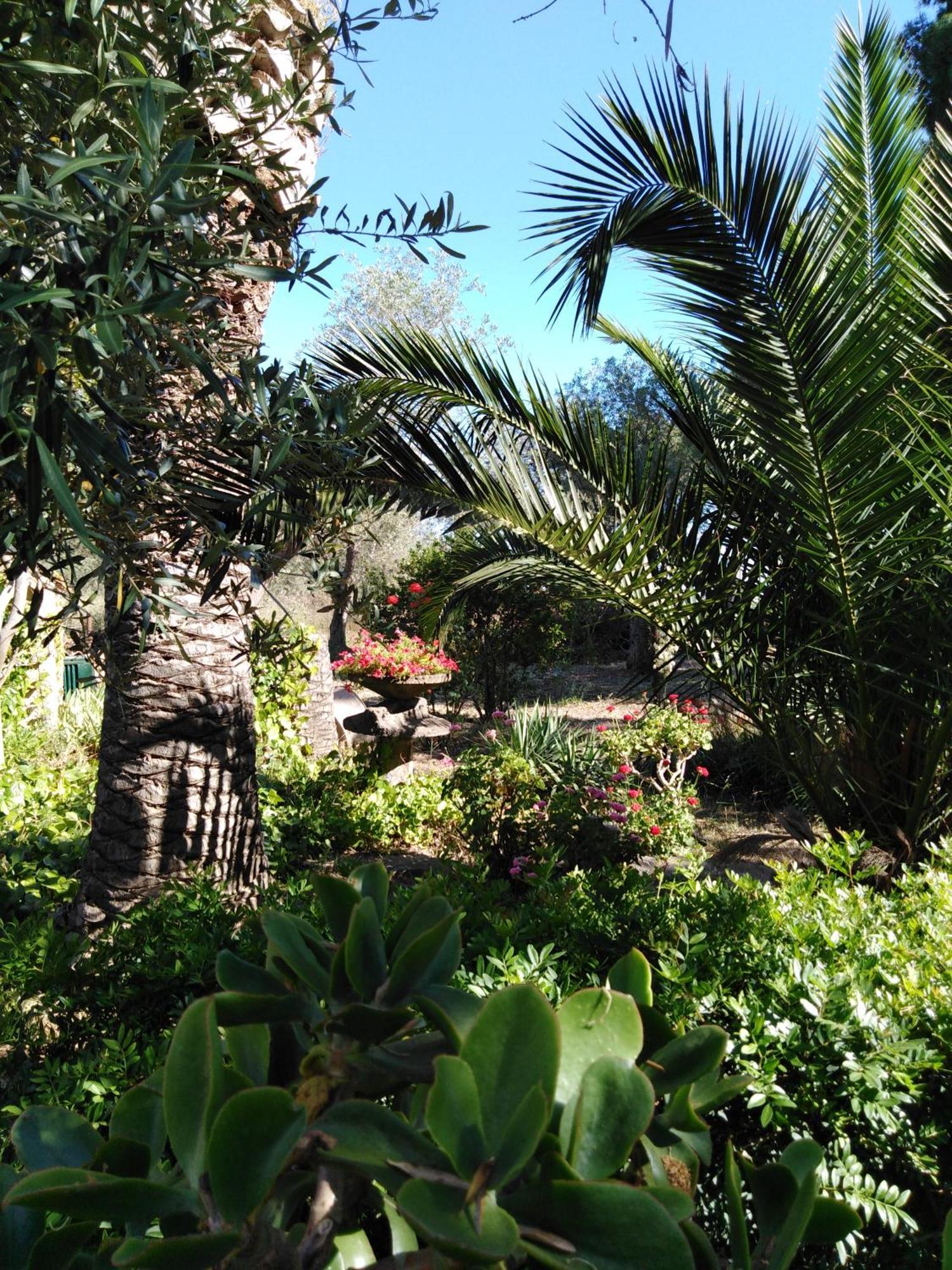 Villa La Rucchetta อาลเกโร ภายนอก รูปภาพ